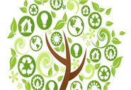 多參數(shù)水質(zhì)分析儀招標(biāo)參數(shù)是什么？有什么要求？