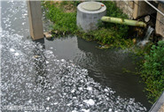 污水處理廠進(jìn)水口水質(zhì)、出水口水質(zhì)12項(xiàng)必檢項(xiàng)目指標(biāo)